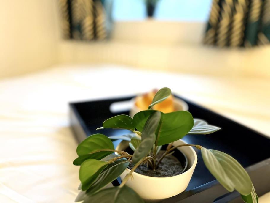 Modern 2 Bed Close To Mall With Parking & Garden London Exterior foto